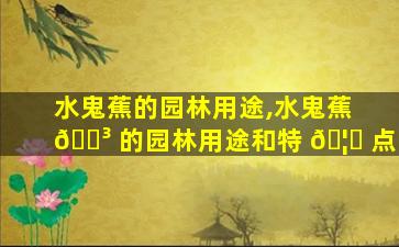 水鬼蕉的园林用途,水鬼蕉 🌳 的园林用途和特 🦋 点